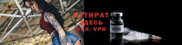 прущие грибы Новодвинск