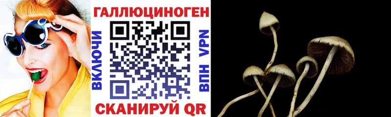 Псилоцибиновые грибы Magic Shrooms  mega как войти  Почеп 